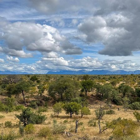 Sausage Tree Safari Camp Balule Game Reserve Exterior foto
