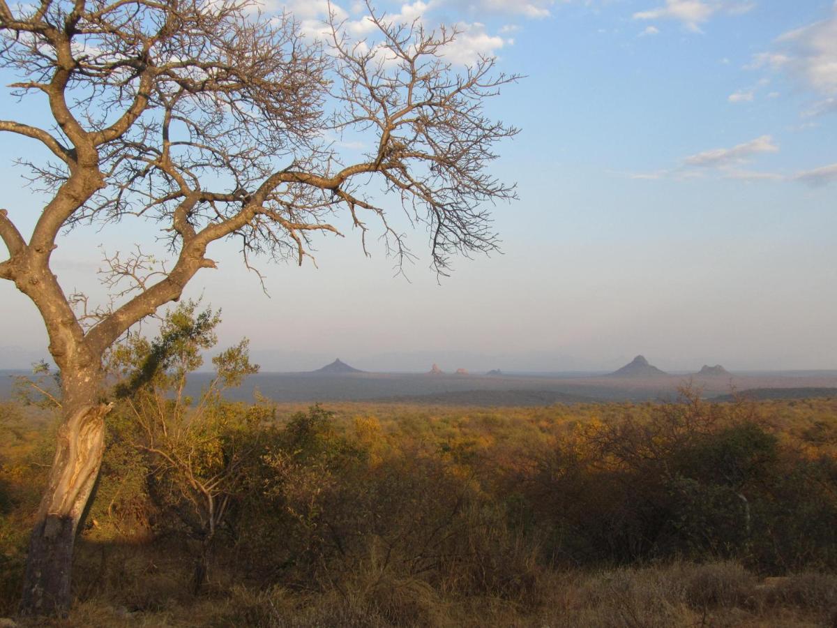 Sausage Tree Safari Camp Balule Game Reserve Exterior foto