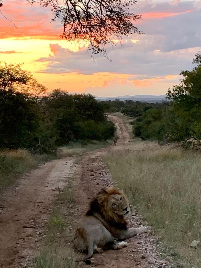 Sausage Tree Safari Camp Balule Game Reserve Exterior foto
