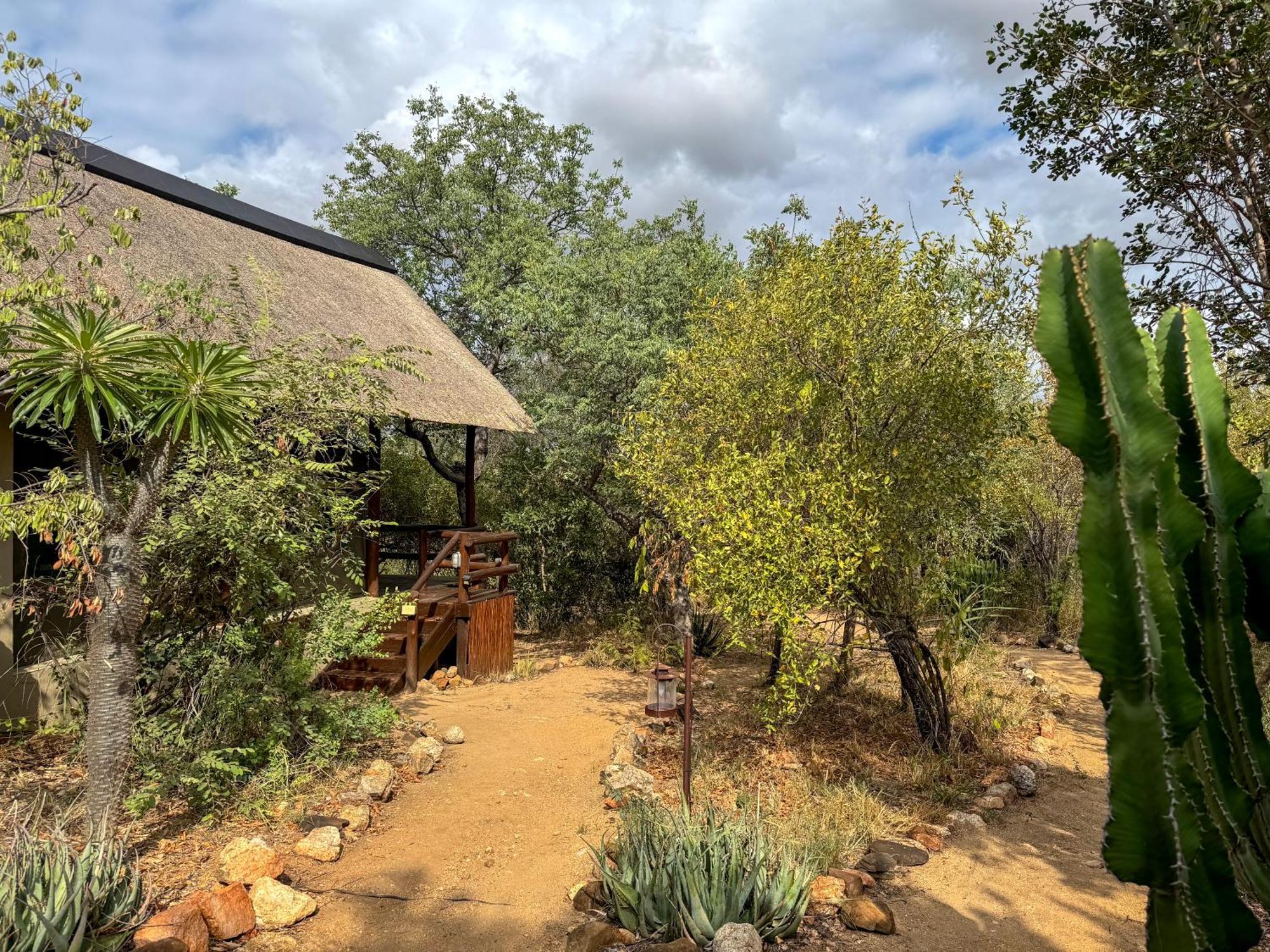 Sausage Tree Safari Camp Balule Game Reserve Exterior foto