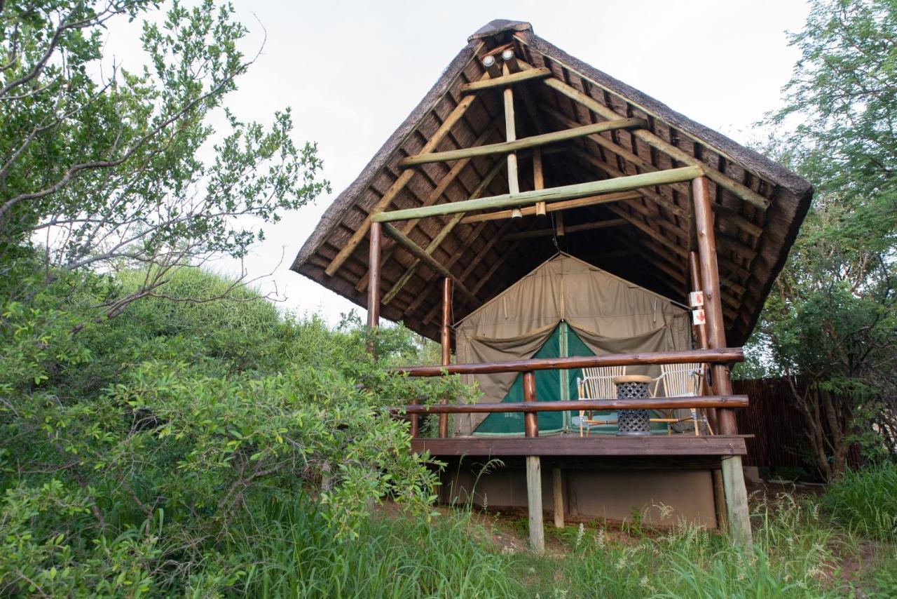 Sausage Tree Safari Camp Balule Game Reserve Exterior foto